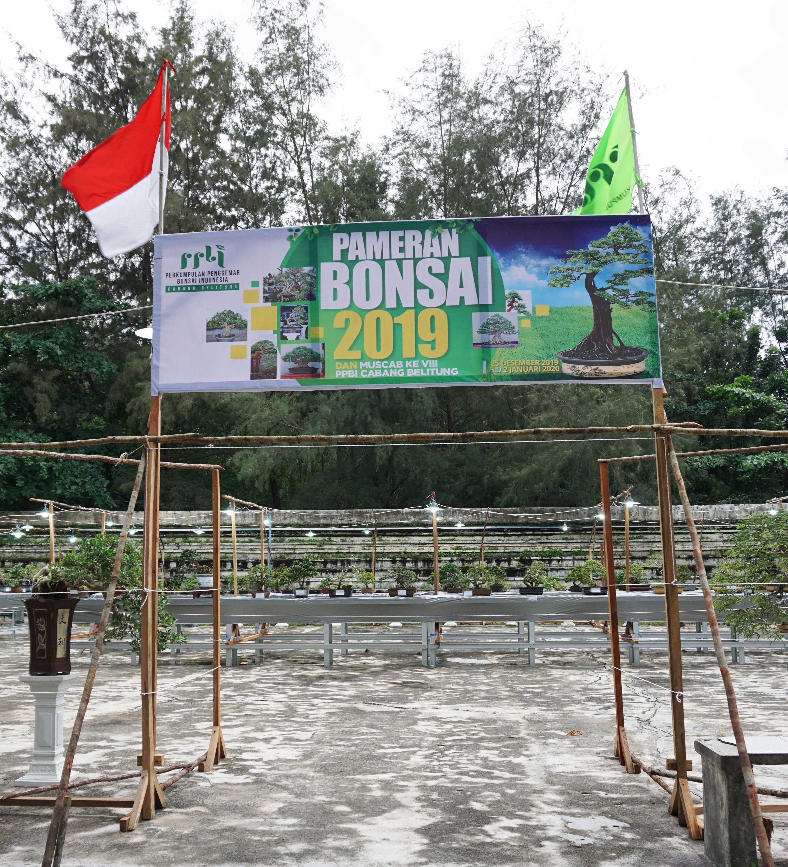 Pameran Bonsai PPBI Cabang Belitung  25 Desember 2019 sampai dengan 02 Januari 2020