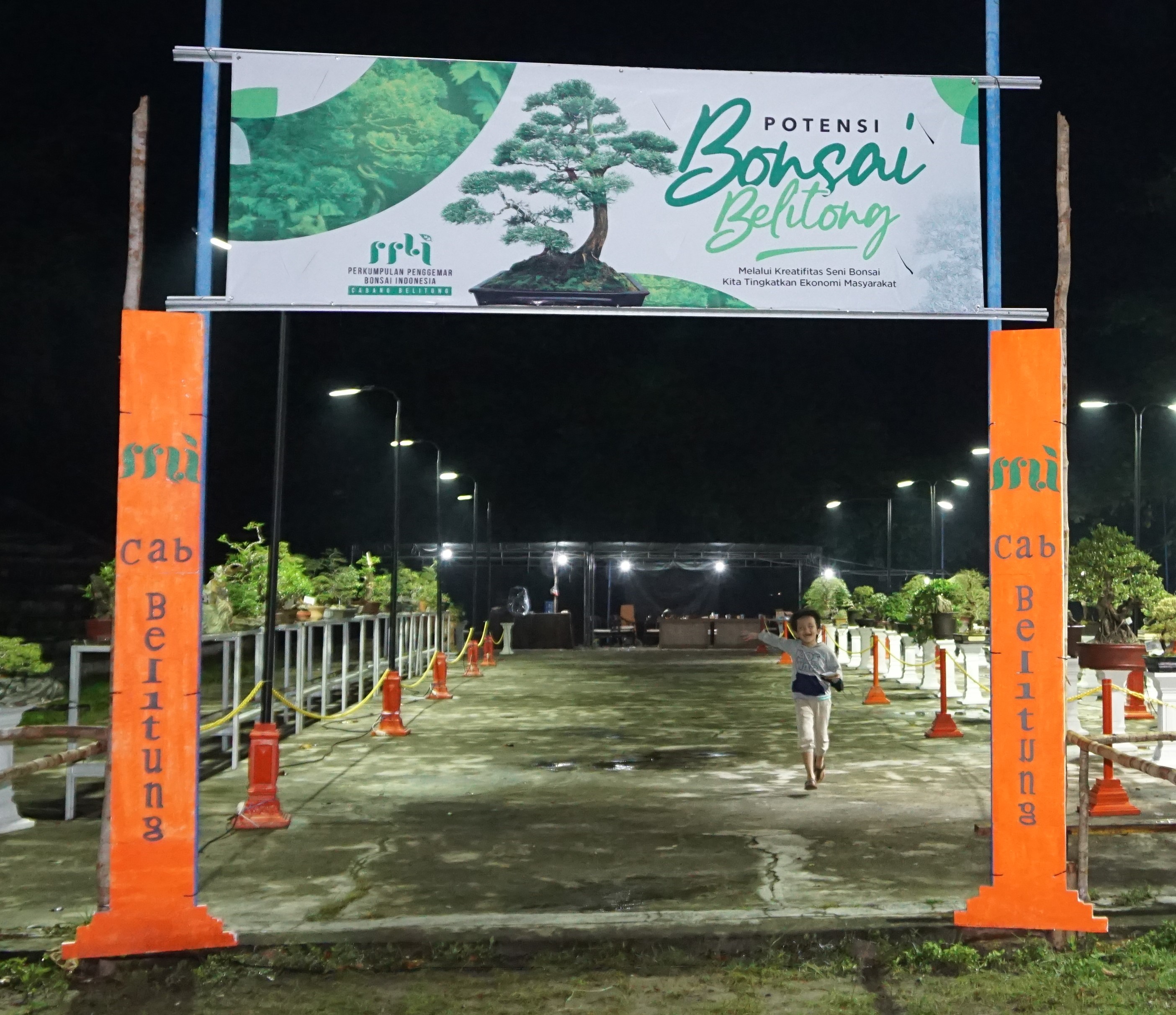 Potensi Bonsai Belitung