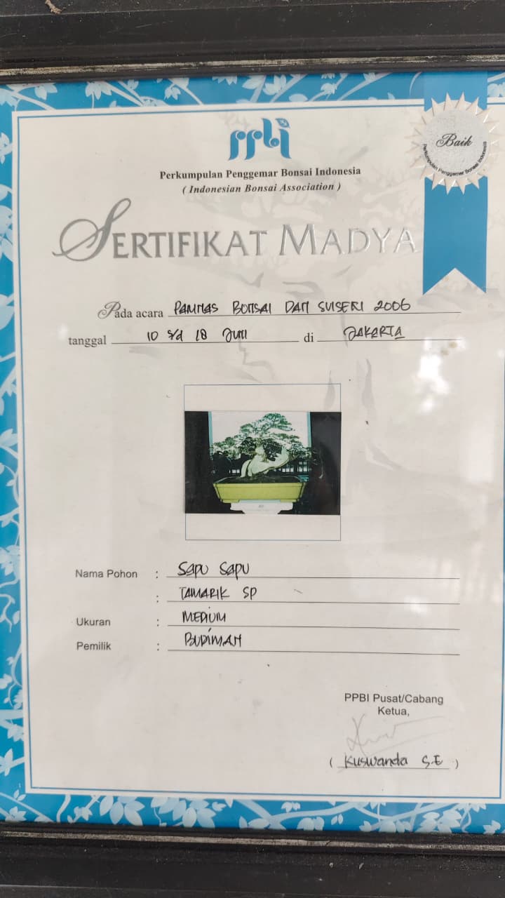 Kumpulan Sertifikat yang sudah diraih PPBI Cabang Belitung